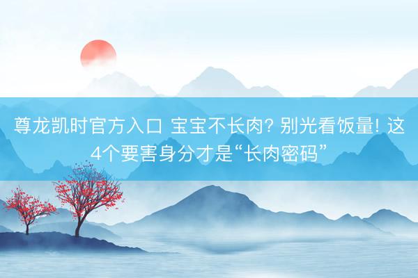 尊龙凯时官方入口 宝宝不长肉? 别光看饭量! 这4个要害身分才是“长肉密码”