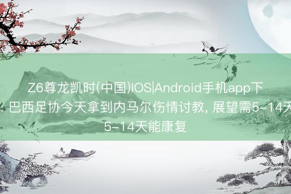 Z6尊龙凯时(中国)IOS|Android手机app下载 UOL: 巴西足协今天拿到内马尔伤情讨教， 展望需5-14天能康复