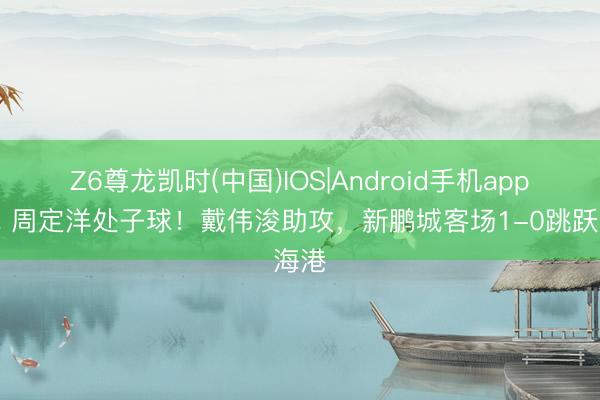 Z6尊龙凯时(中国)IOS|Android手机app下载 周定洋处子球！戴伟浚助攻，新鹏城客场1-0跳跃海港