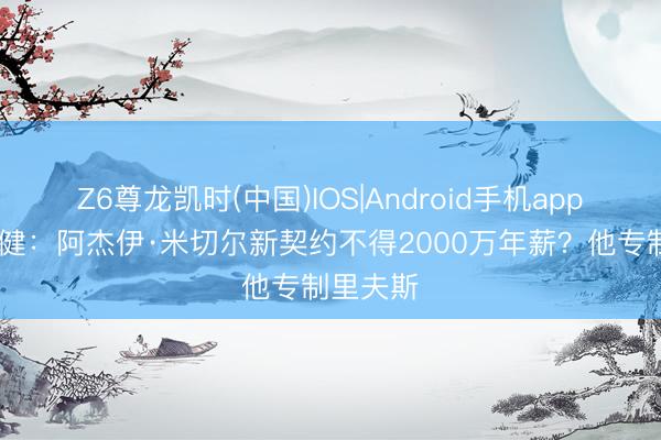 Z6尊龙凯时(中国)IOS|Android手机app下载 杨健:阿杰伊·米切尔新契约不得2000万年薪?他专制里夫斯