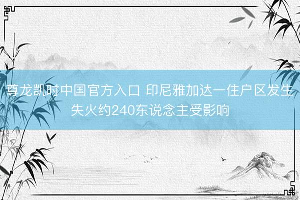 尊龙凯时中国官方入口 印尼雅加达一住户区发生失火约240东说念主受影响