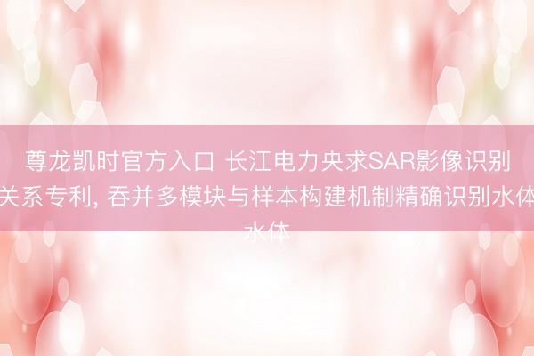 尊龙凯时官方入口 长江电力央求SAR影像识别关系专利， 吞并多模块与样本构建机制精确识别水体