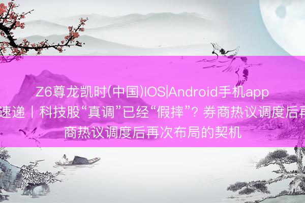 Z6尊龙凯时(中国)IOS|Android手机app下载 周末重心速递丨科技股“真调”已经“假摔”? 券商热议调度后再次布局的契机