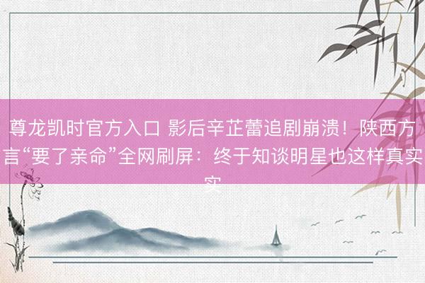 尊龙凯时官方入口 影后辛芷蕾追剧崩溃！陕西方言“要了亲命”全网刷屏：终于知谈明星也这样真实