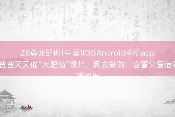 Z6尊龙凯时(中国)IOS|Android手机app下载 爸爸天天催“大肥猫”像片，网友破防：含蓄父爱借猫说出