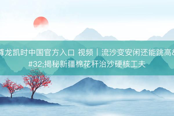 尊龙凯时中国官方入口 视频｜流沙变安闲还能跳高 揭秘新疆棉花秆治沙硬核工夫