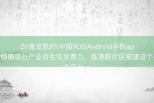 Z6尊龙凯时(中国)IOS|Android手机app下载 精确惩处产业后生交友费力，临港新片区搭建这个平台→