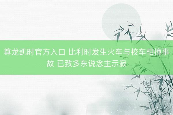 尊龙凯时官方入口 比利时发生火车与校车相撞事故 已致多东说念主示寂